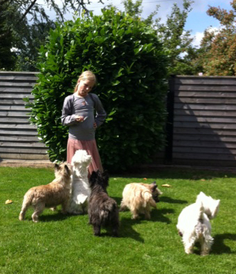josefine_m_hunde.jpg josefine_m_hunde.jpg